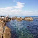 동해바다 이미지