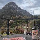 winning dog story's | [미국와인]샤또 생 미셸 아티스트 시리즈 2014 시음 후기