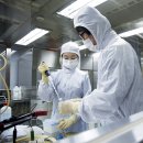 우리소다 이미지