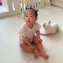 마니미니케이크 | 다영탄신일! 그 외 일상들✨