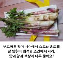 거창왕겨 네이버블로그