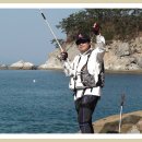 제즐낚 Daum카페