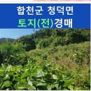 청덕면낙진보건진료소 | 합천군 토지(전) 경매, 청덕면 앙진리 토지(전) 경매
