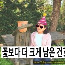 태안 안면도 2박3일 여행 후기, 꽃보다 사람이 남긴 마음의 변화