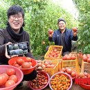 창조농장 이미지