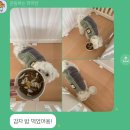 삼천포중앙여자중학교 | 사천 삼천포 애견카페 강아지 놀이터 호텔링까지 한 번에! 댕글마을 솔직 후기