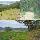 낙동강변로4-2 이미지