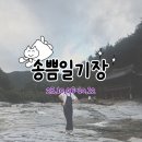 인동주유소 | 수영 기록하기 • 연휴의 여행 순천 기록 • 급으로 떠난 의령 전주여행 • 대구 자유수영 떠난 후기)
