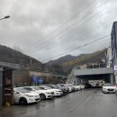 대영한우실비 이미지