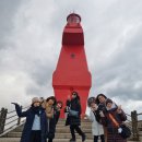 동창 | 제주도 관광버스 대절 후기 동창들과 눈 내리는 겨울 제주 여행