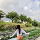 썬데이캔디