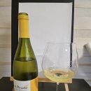 비오니에(Viognier) | 💡 [비오니에 품종 소개] 꽃향기 가득한 Le Paradou Viognier 2021 후기