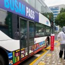 UN기념공원 우측 | 부산시티투어버스 비오는 날 탑승 후기 | 예약 위치 명당 추천 &amp; 버스 시간표 노선 정리