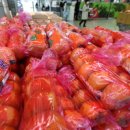 ㈜포커스글로벌 이미지