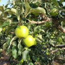 인우농장 이미지