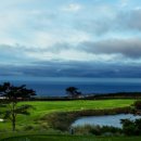 (주)볼카노골프앤리조트 이미지