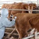 소만농장 이미지