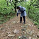 작두산성 티스토리