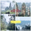 중국 장가계(feat. 중국기차 여행 정보/꿀팁)