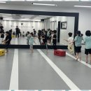 TL태권도 이미지