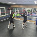 비노짐킥복싱 이미지