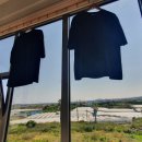 영희의 정원 이미지