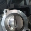 애니카랜드 화원점 이미지