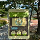 새마을로 이미지