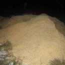 근정농장 이미지