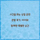 시간을 파는 상점 공연 관람 후기, 아이와 함께한 특별한 순간