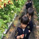 대산농장2 이미지