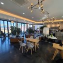 펫토피아(PETOPIA) 이미지