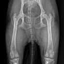 쥬만지동물의료센터 이미지