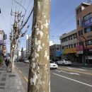 문국일치과의원 이미지