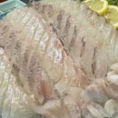 바다회천국 이미지