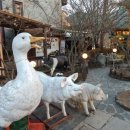 양지말농장 이미지