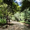 부농목장 | [서울근교여행] 세계유산 조선왕릉 고양 서삼릉에서 힐링 산책한 후기