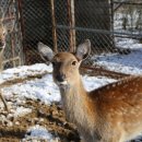 Healing Farm Stay 이미지