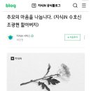 네이버 지식인의 태양신 조광현 선생님을 위한 추모글 이미지