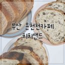 샌드치치 | 부산 온천천카페 치치샌드 베이커리 포장 솔직후기