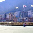 거제시롤러경기장 이미지