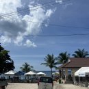 망고식당 | 오슬롭 고래상어투어 점심 식당 Caferoniq | 메뉴·위치·햄버거·망고스무디 후기