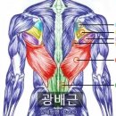 바디제이짐 이미지