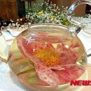 (주)산야초로 이미지