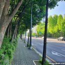 하계 배드민턴장 이미지