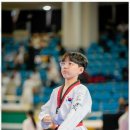 참교육태권도 이미지