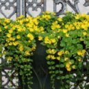 아름다운 사람들 이미지