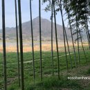 김수곤농장 이미지