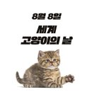 8월8일 세계고양이의 날 이미지