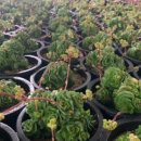 종만이농장 이미지